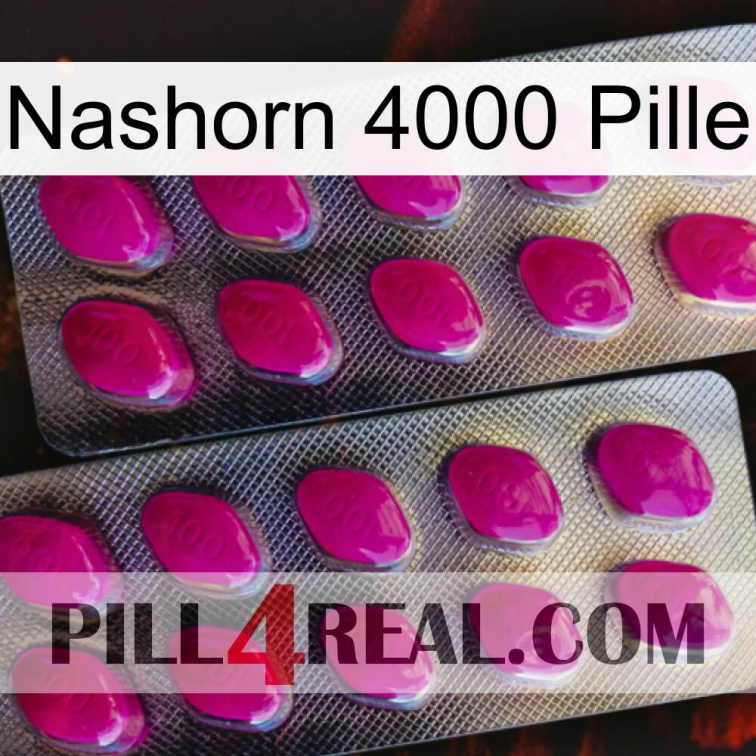 Rhino 4000 Pill 10